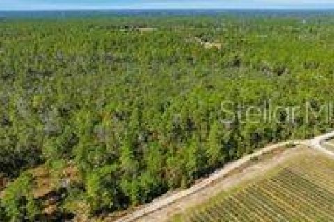 Terreno en venta en Dunnellon, Florida № 2097124 - foto 11