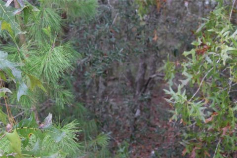 Terreno en venta en Dunnellon, Florida № 2097124 - foto 9