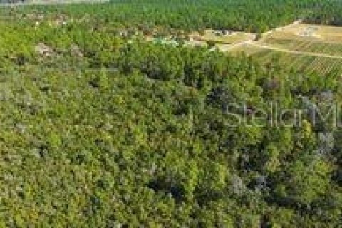 Terreno en venta en Dunnellon, Florida № 2097124 - foto 12