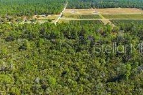 Terreno en venta en Dunnellon, Florida № 2097124 - foto 10