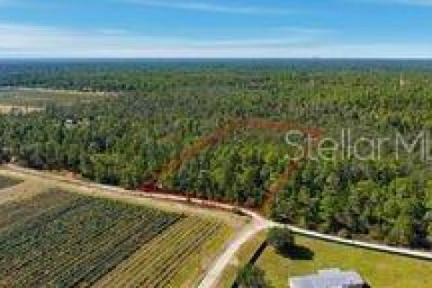 Terreno en venta en Dunnellon, Florida № 2097124 - foto 3