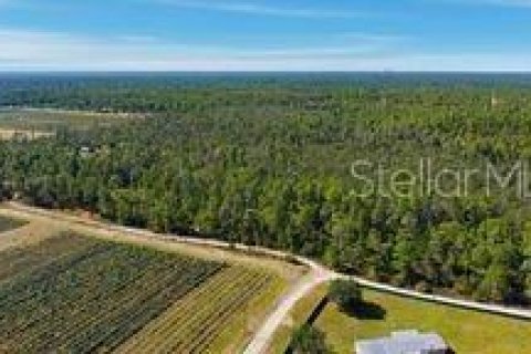 Terreno en venta en Dunnellon, Florida № 2097124 - foto 13