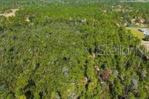 Terreno en venta en Dunnellon, Florida № 2097124 - foto 8