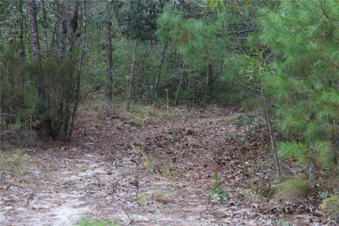 Terreno en venta en Dunnellon, Florida № 2097124 - foto 2
