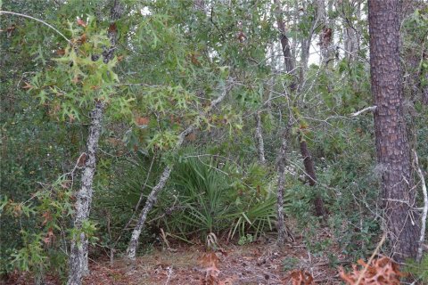 Terreno en venta en Dunnellon, Florida № 2097124 - foto 7