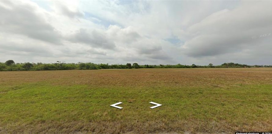 Terrain à Placida, Floride № 2159161
