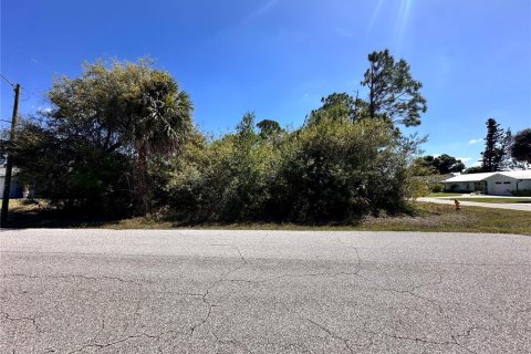 Land in Port Charlotte, Florida № 2159320 - photo 4