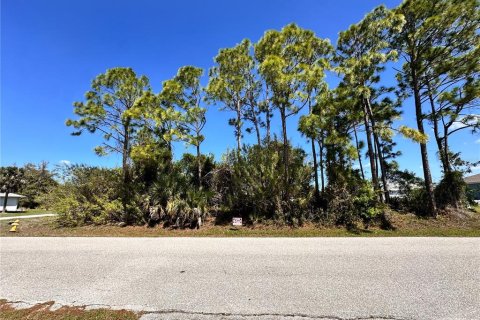 Land in Port Charlotte, Florida № 2159320 - photo 2