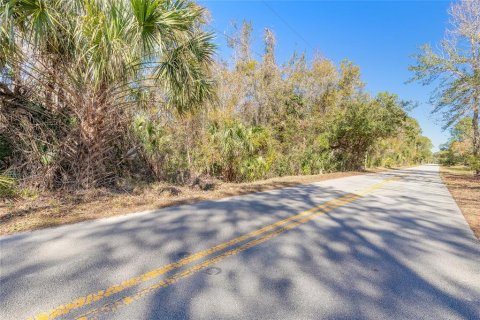 Terreno en venta en Sanford, Florida № 1544549 - foto 2