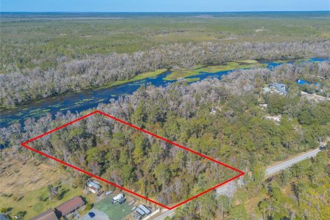 Terreno en venta en Sanford, Florida № 1544549 - foto 9