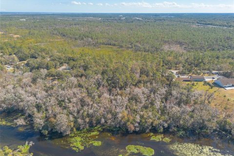 Terreno en venta en Sanford, Florida № 1544549 - foto 5