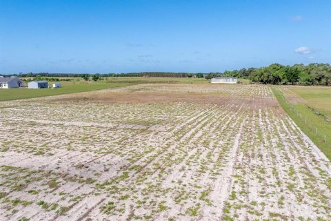 Terreno en venta en Clermont, Florida № 1659647 - foto 12