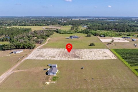 Terreno en venta en Clermont, Florida № 1659647 - foto 8