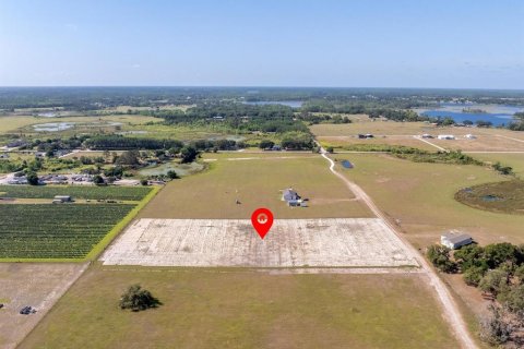 Terreno en venta en Clermont, Florida № 1659647 - foto 5