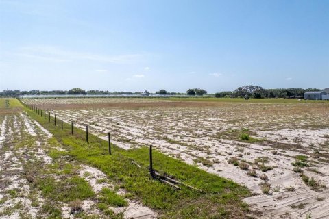Terreno en venta en Clermont, Florida № 1659647 - foto 4