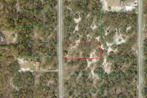 Terreno en venta en Dunnellon, Florida № 2159300 - foto 2
