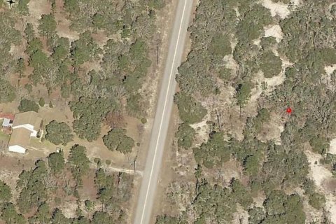 Terreno en venta en Dunnellon, Florida № 2159300 - foto 3