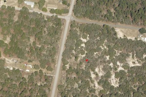 Terreno en venta en Dunnellon, Florida № 2159300 - foto 4
