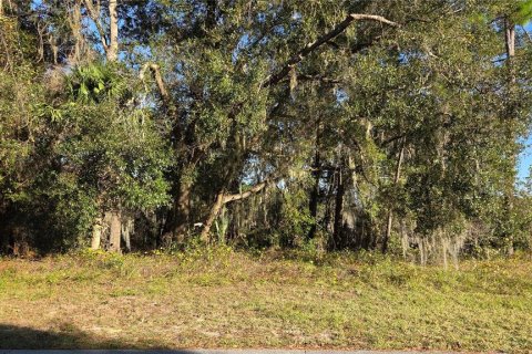 Land in Deltona, Florida № 2277643