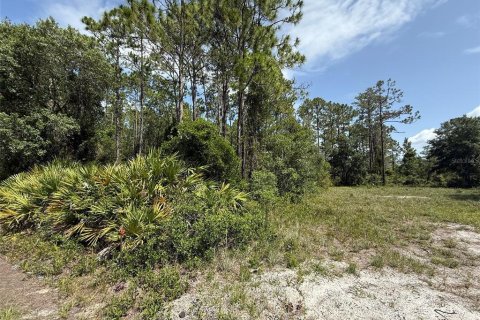 Land in Palatka, Florida № 2159730