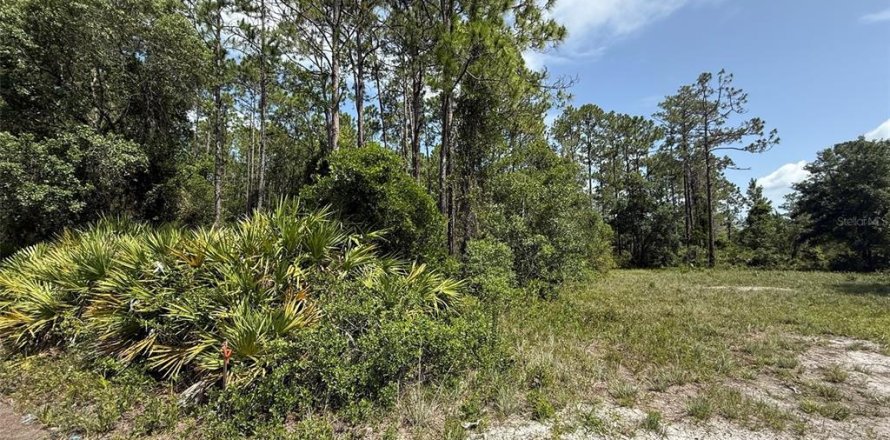 Land in Palatka, Florida № 2159730