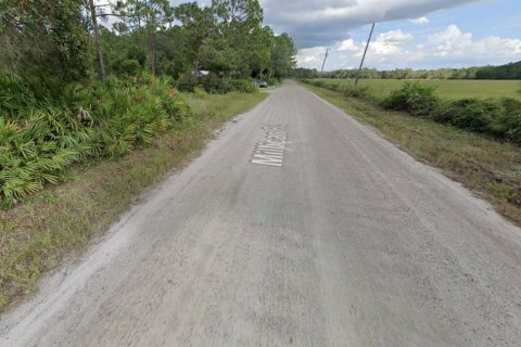 Land in Palatka, Florida № 2159730 - photo 8
