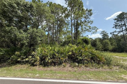 Land in Palatka, Florida № 2159730 - photo 6
