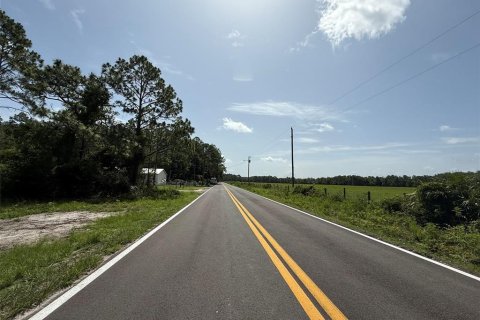 Land in Palatka, Florida № 2159730 - photo 2
