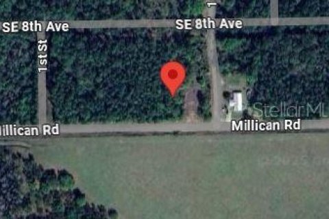 Land in Palatka, Florida № 2159730 - photo 9