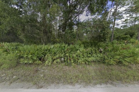 Land in Palatka, Florida № 2159730 - photo 7