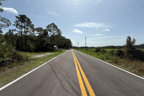Land in Palatka, Florida № 2159730 - photo 3
