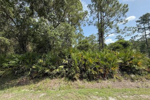 Land in Palatka, Florida № 2159730 - photo 4