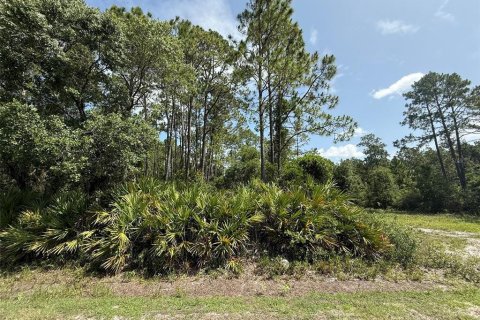Land in Palatka, Florida № 2159730 - photo 5