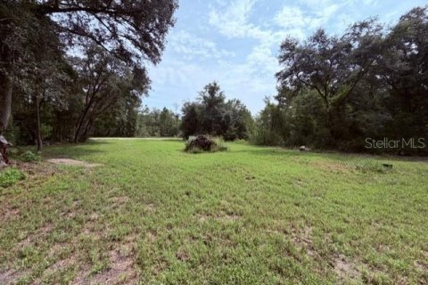 Terrain à Webster, Floride № 2236293