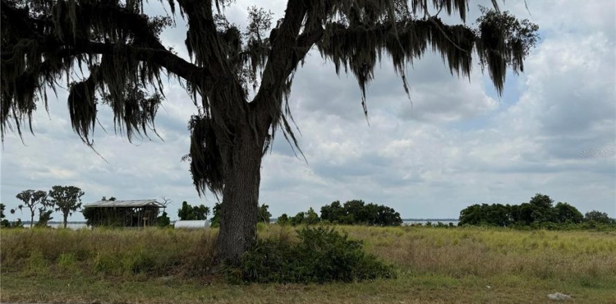 Land in Frostproof, Florida № 1203822
