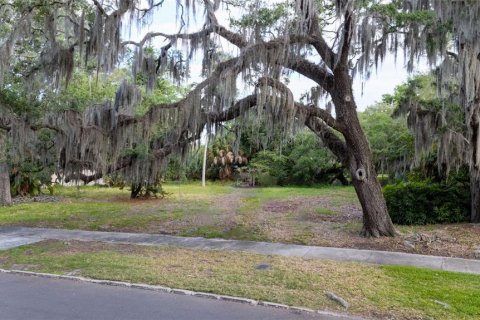 Terreno en venta en Tampa, Florida № 1152806 - foto 4