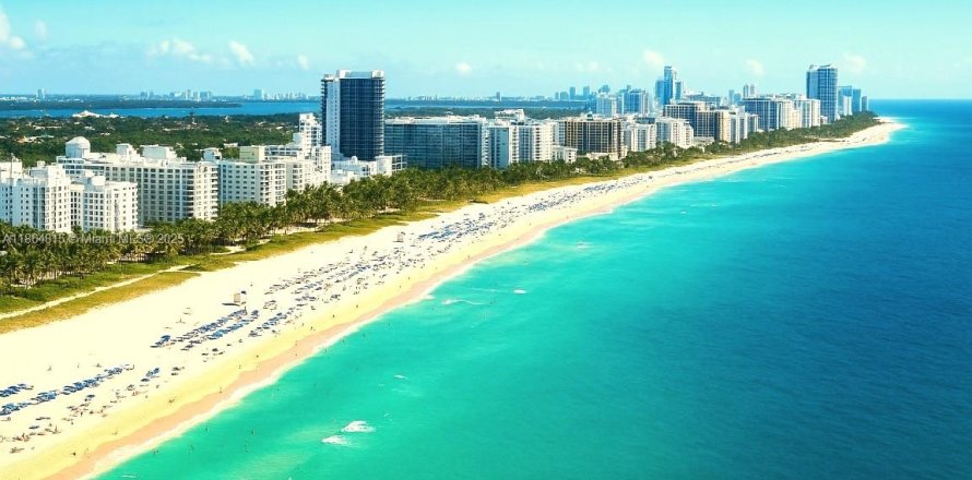 Condo à Miami Beach, Floride, 1 chambre  № 2079504