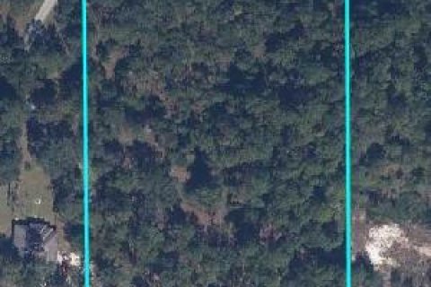 Land in Middleburg, Florida № 770050 - photo 1