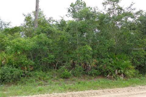 Land in DeLand, Florida № 2104220
