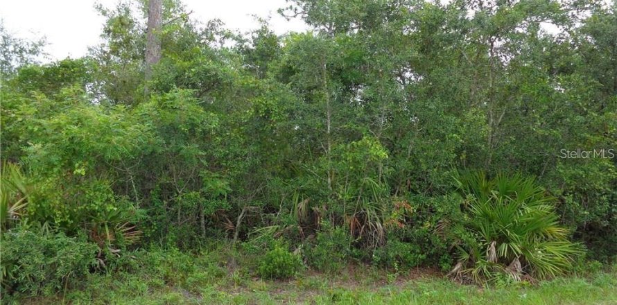 Terreno en DeLand, Florida № 2104220