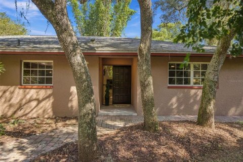 House in Odessa, Florida 3 bedrooms, 157.93 sq.m. № 2428705