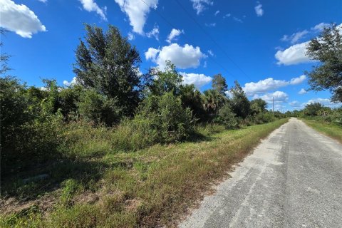 Land in Lehigh Acres, Florida № 2164403 - photo 4