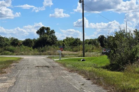Land in Lehigh Acres, Florida № 2164403 - photo 3