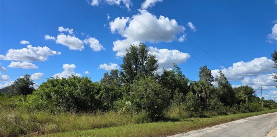 Land in Lehigh Acres, Florida № 2164403