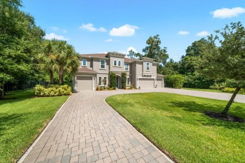 Casa en venta en Lutz, Florida, 6 dormitorios, 480.4 m2 № 2386548 - foto 5