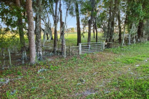 Terrain à vendre à Bushnell, Floride № 2232901 - photo 9