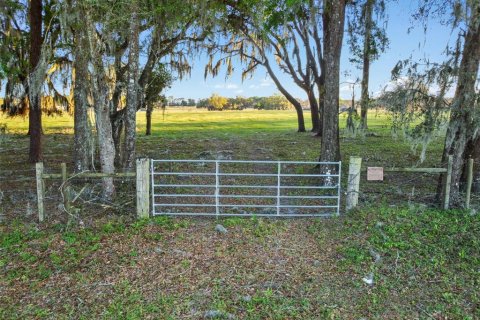 Terrain à vendre à Bushnell, Floride № 2232901 - photo 3