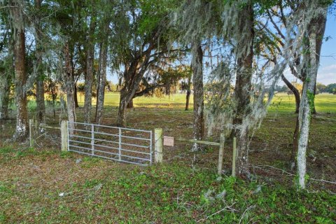 Terrain à vendre à Bushnell, Floride № 2232901 - photo 8