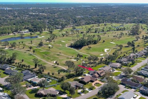 House in New Smyrna Beach, Florida 4 bedrooms, 327.57 sq.m. № 1543885 - photo 3