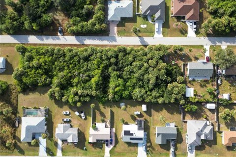 Land in Port Charlotte, Florida № 2159901 - photo 4